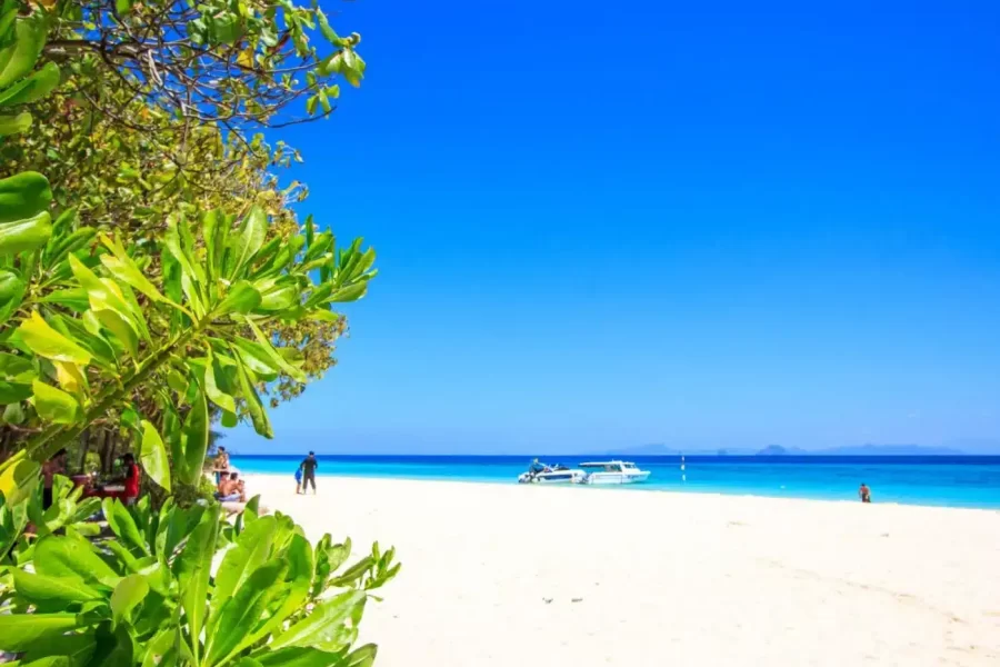 Phi Phi & Bamboo Island by Speed Boat