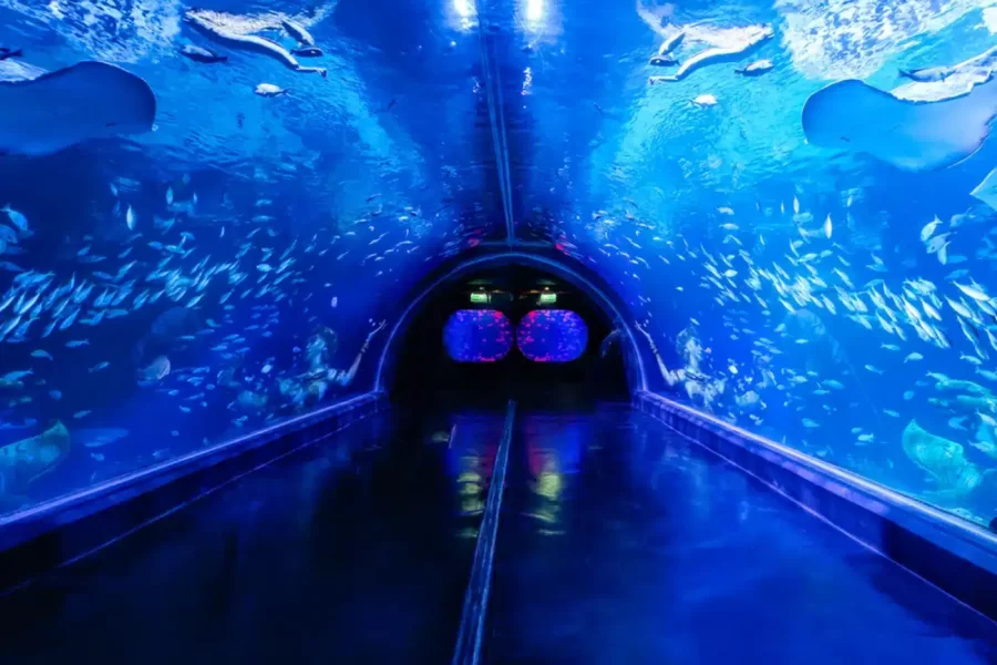 AQUARIA Phuket